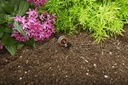 GARDENA Micro-Drip Einddruppelaar, drukcompenserend
