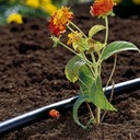 GARDENA Micro-Drip Einddruppelaar
