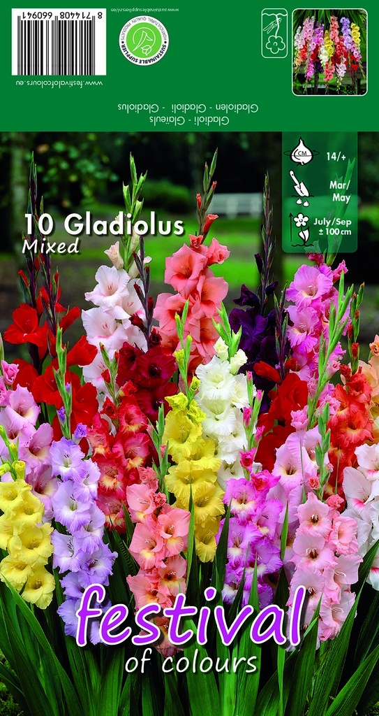 Gladiool Mix - 10 st