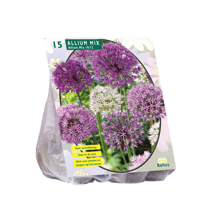 Allium MIX PAARS/WIT - 15 st
