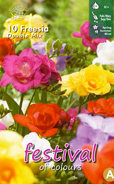 Freesia GEMENGD DUBBEL - 10st