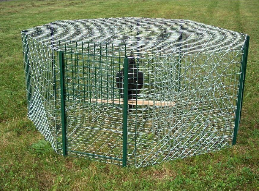 NASSE A CORNEILLE - OCTOGONALE  105x105x50 