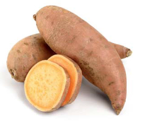 Ipomoea Batatas ZOETE AARDAPPEL of BATAAT - 1 st.