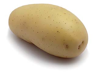 Aardappelpootgoed ANNABELLE klasse A 28/32 - per kg