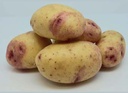 [07-000945] Aardappelpootgoed CAROLUS klasse A 35/45 - per kg