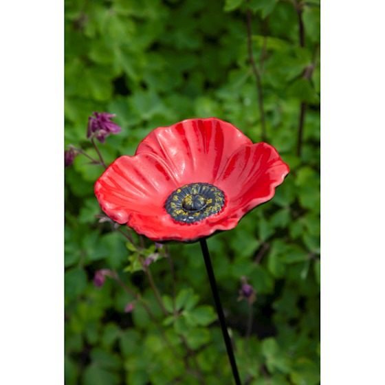 Voederschaal POPPY