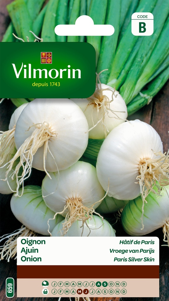 Ajuin WITTE VAN PARIJS - ca 3 g