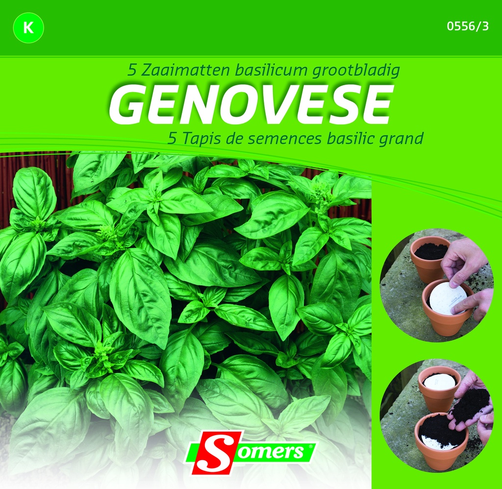 Basilicum GENOVESE - 5 tapis de semences