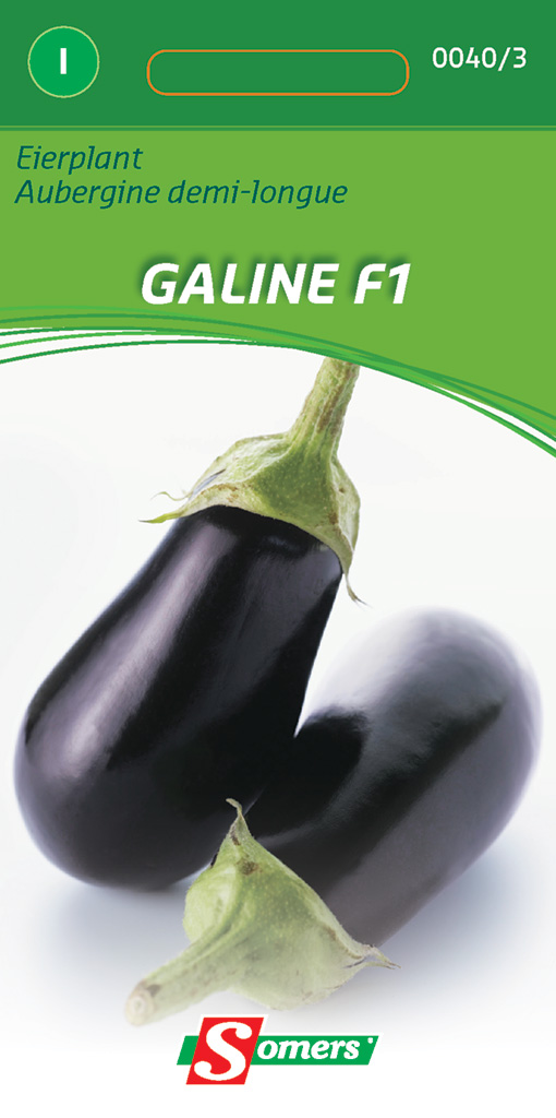 Aubergine of eierplant GALINE F1 - ca. 2g