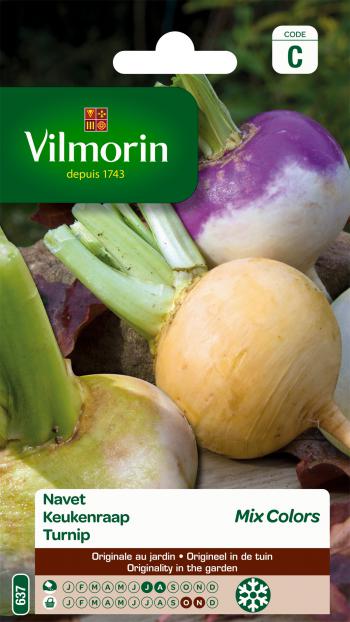 Navet potager MIX - ca 3 g