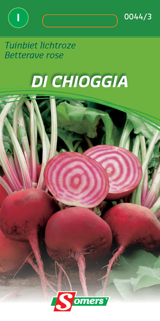 Betteraves rouges DI CHIOGGIA - ca. 5,5 gr