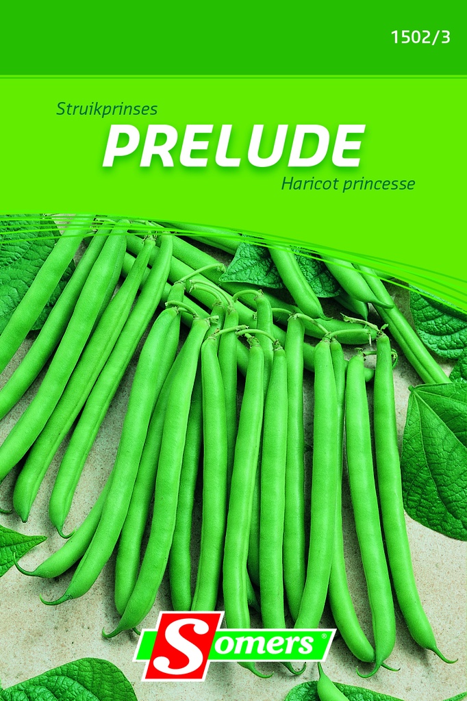 Haricots nains - Mange tout PRELUDE - ca 180 g
