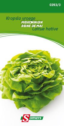 Kropsla MEIKONINGIN - ca 5 g