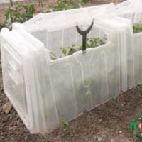 Kweektunnel MODUL'O 60 - 1 st