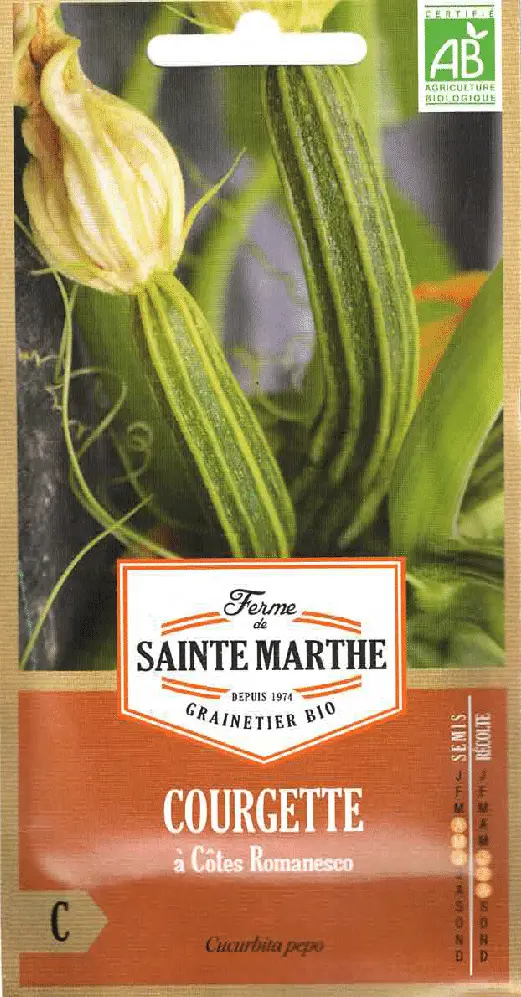 Bio courgette rayée COTES ROMANESCO - ca 15 s