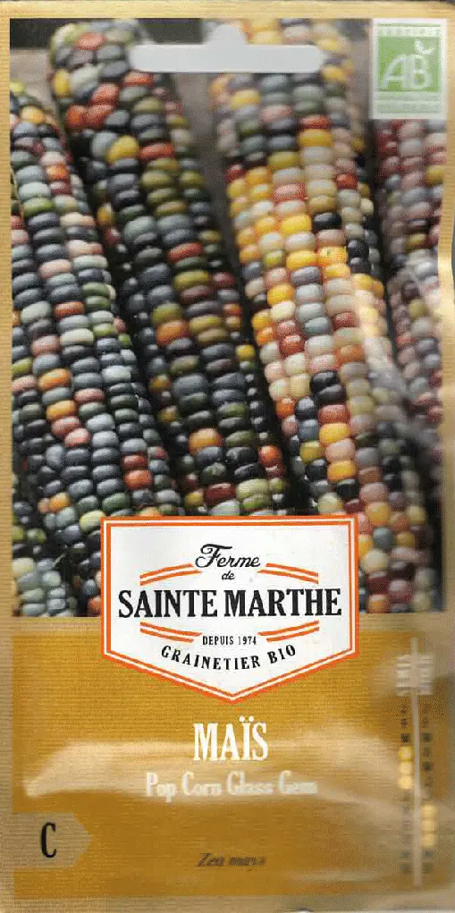 Mais de pop-corn bio GLASS GEM - ca 50 s