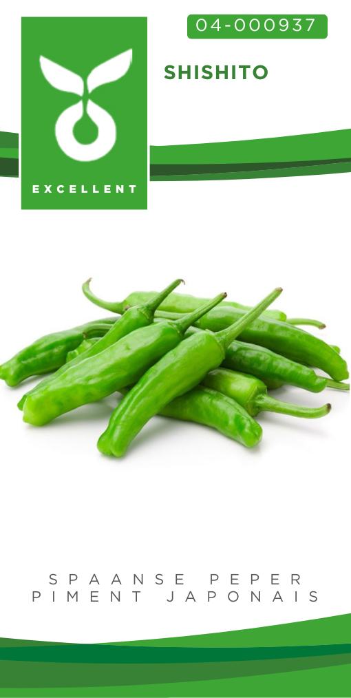 Piment japanois SHISHITO - ca 10 s