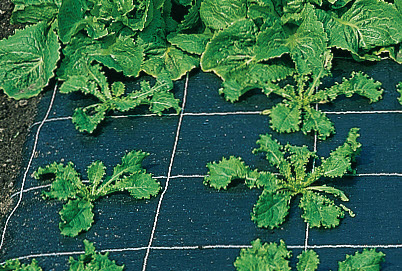 Toile hors sol - largeur 1 m