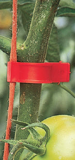 Tomatenclips - 50 clips 16 mm + 50 clips 19 mm