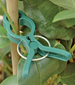 Plantenclipset
