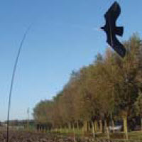 DIDAK silhouette d'oiseau de proie