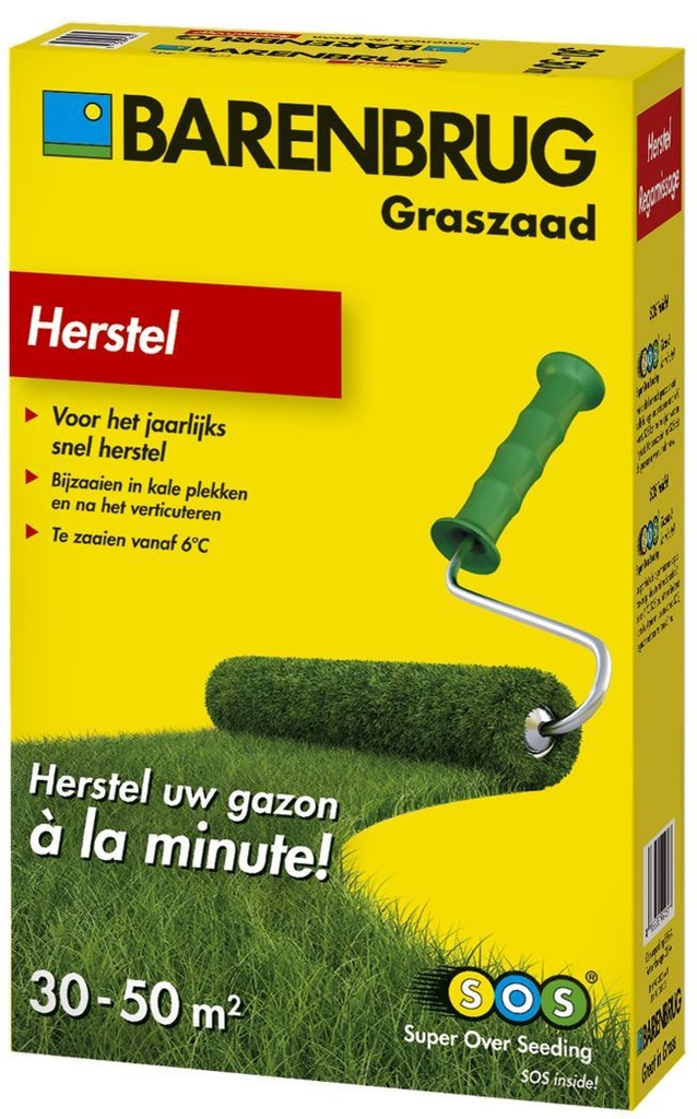 Graszaad HERSTEL - 2 kg - 100 m²
