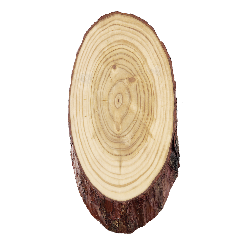 Reeschild 22/12 Naturel Ovaal - 1 st
