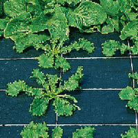 Gronddoek - 1,65 m breed