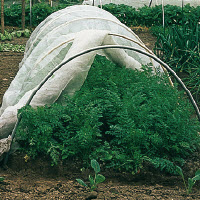 Insectengaas (tripgaas) breedte 300 cm - prijs per strekkende meter