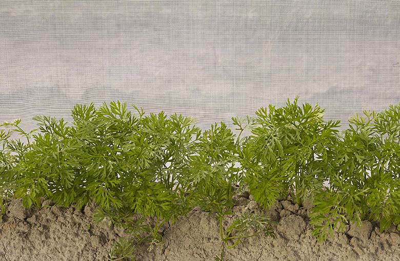 Toile anti-insectes ultraléger largeur 480 cm - prix par mètre courant