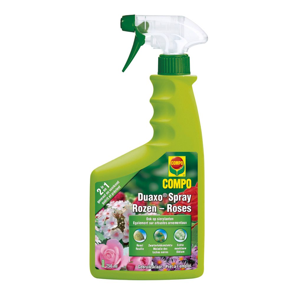 Compo duaxo spray roses - 750 ml