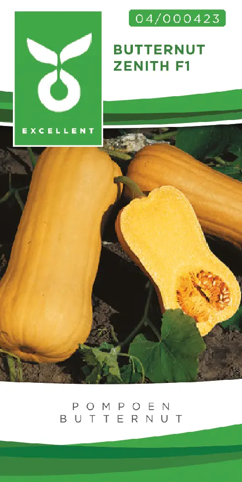 Butternut ZENITH F1 - ca 10 s