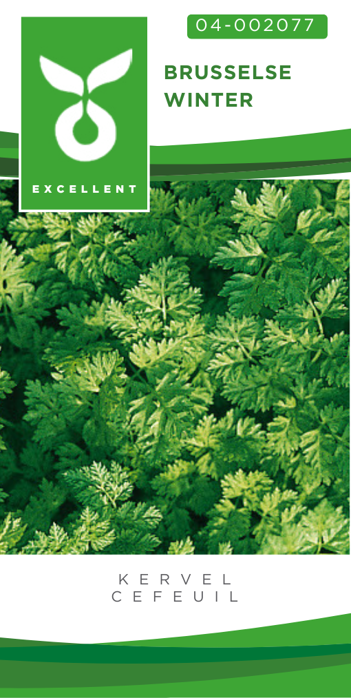 Kervel BRUSSELSE WINTER - ca 8 g
