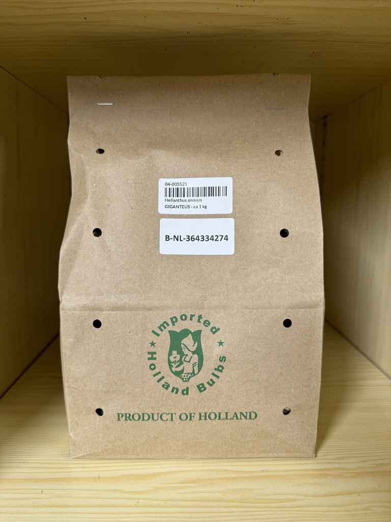 Helianthus annuus GIGANTEUS - ca 1 kg