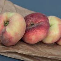 Perzik PERKEL OF WILDE PERZIK - 1 st