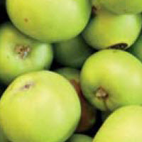 Pommes JACQUES LEBEL - 1 pc