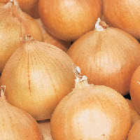 Plantajuin STURON - ca 1 kg