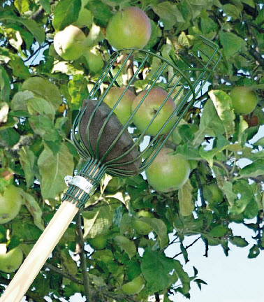 Appel- en perenplukker