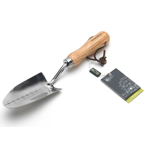 PETITE BECHE A TRANSPLANTER - inoxydable