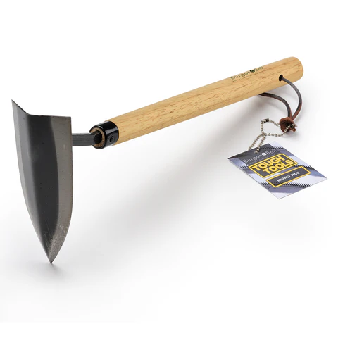 PIOCHE POINTUE