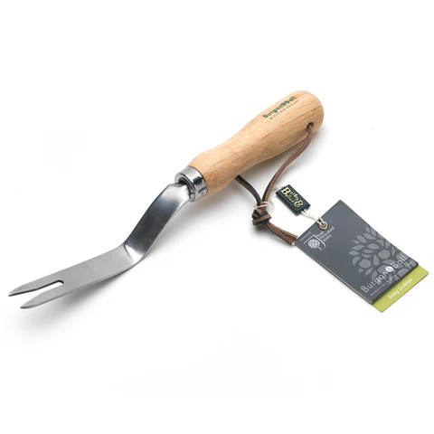 Arrache mauvaises herbes - inoxydable