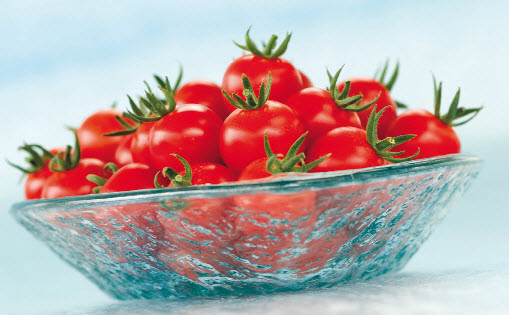 Tomates apéritif WANDA F1 - ca 20 s