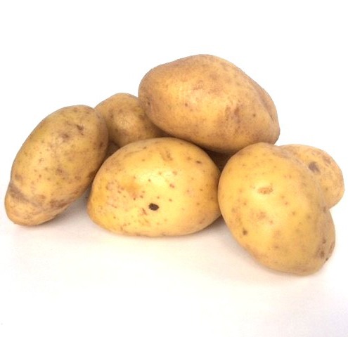 Plants de Pommes de Terre AGRIA classe A 28/35 - par kg