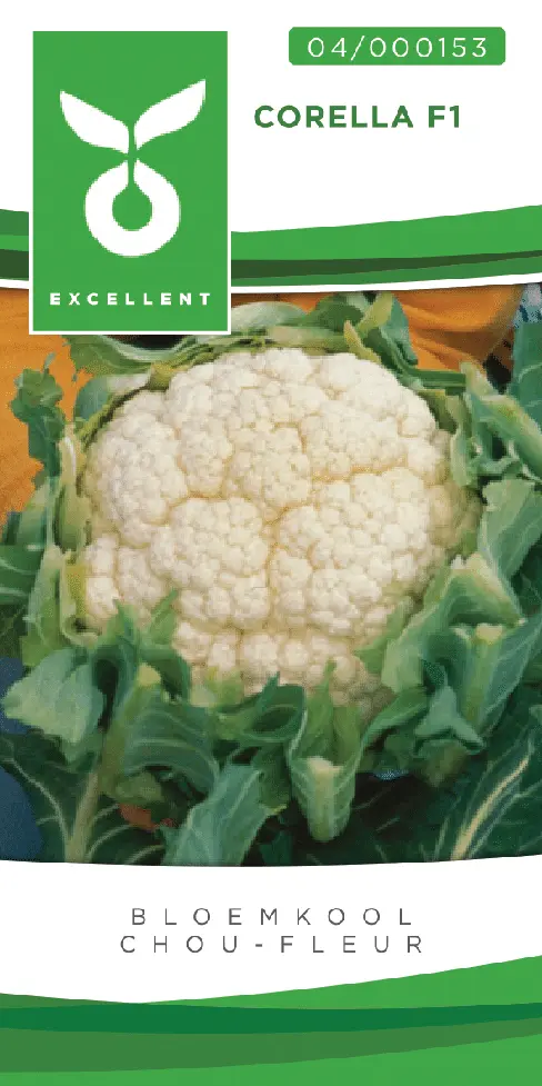 Bloemkolen CORELLA F1 - ca 50 z