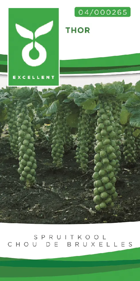 Spruitkool SOFIA F1 (THOR F1) - ca 50 z