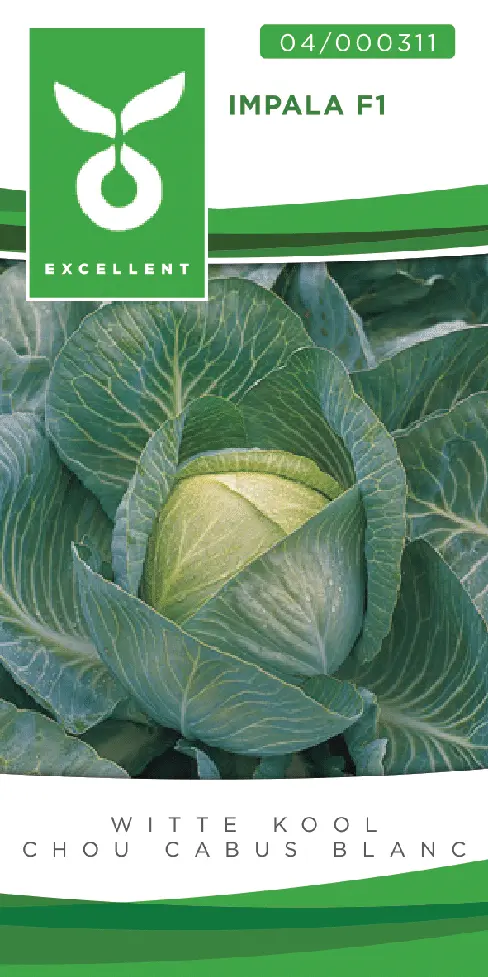 Chou cabus blanc IMPALA F1 - ca 100 s