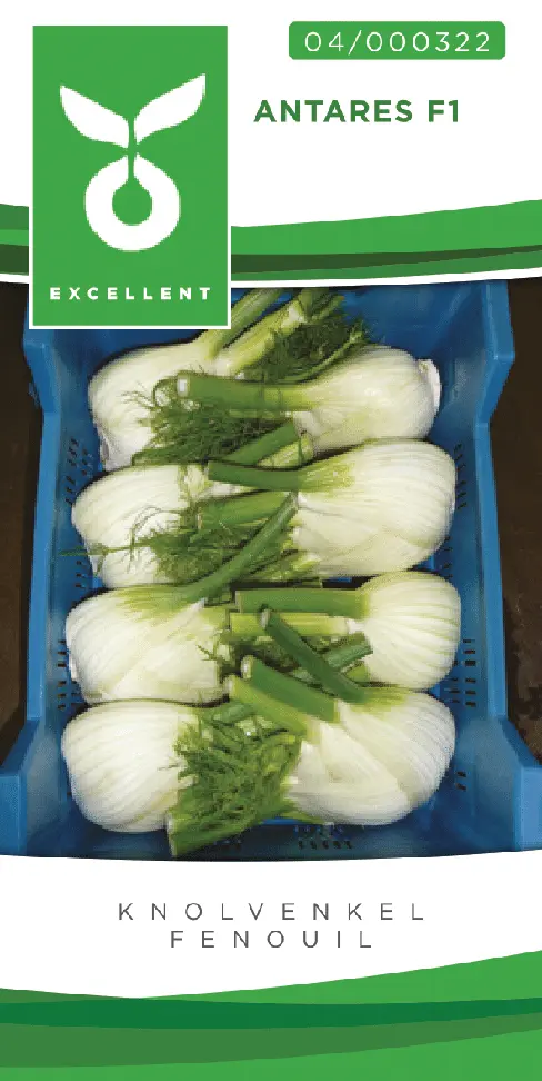Knolvenkel ANTARES F1 - ca 1 g