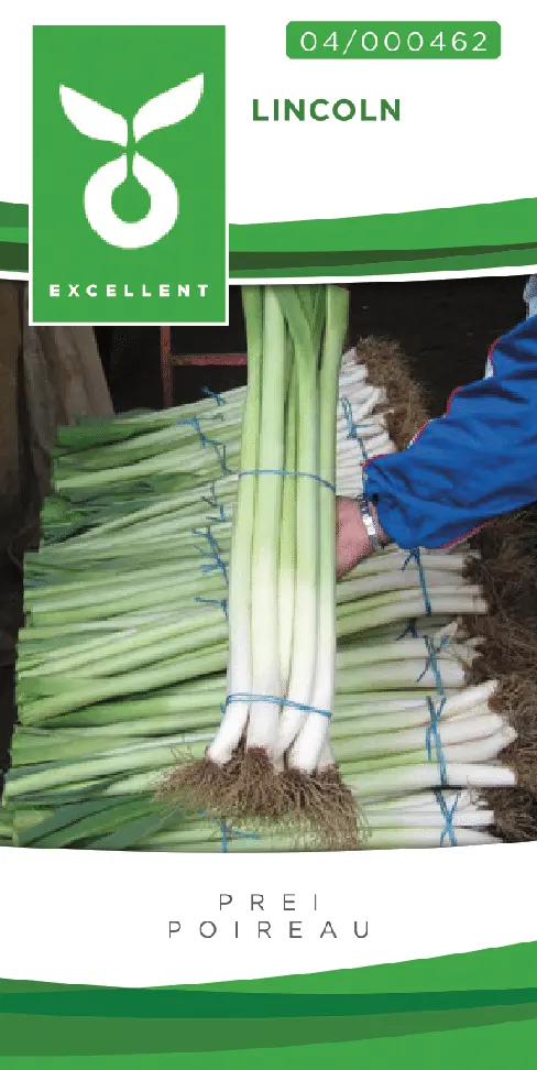 Zomerprei LINCOLN - ca 500 z