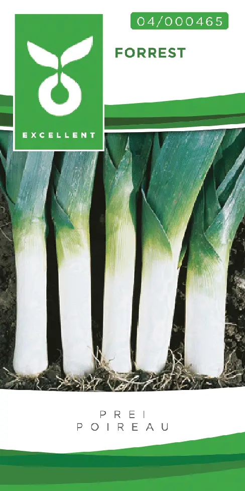 Poireau FORREST - ca 2 g