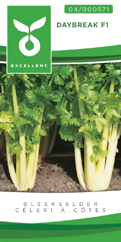 Céleri à côtes DAYBREAK - ca 400 s